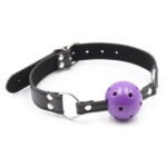 Pin Buckle Breathable O Ring Double Color Ball Gag3